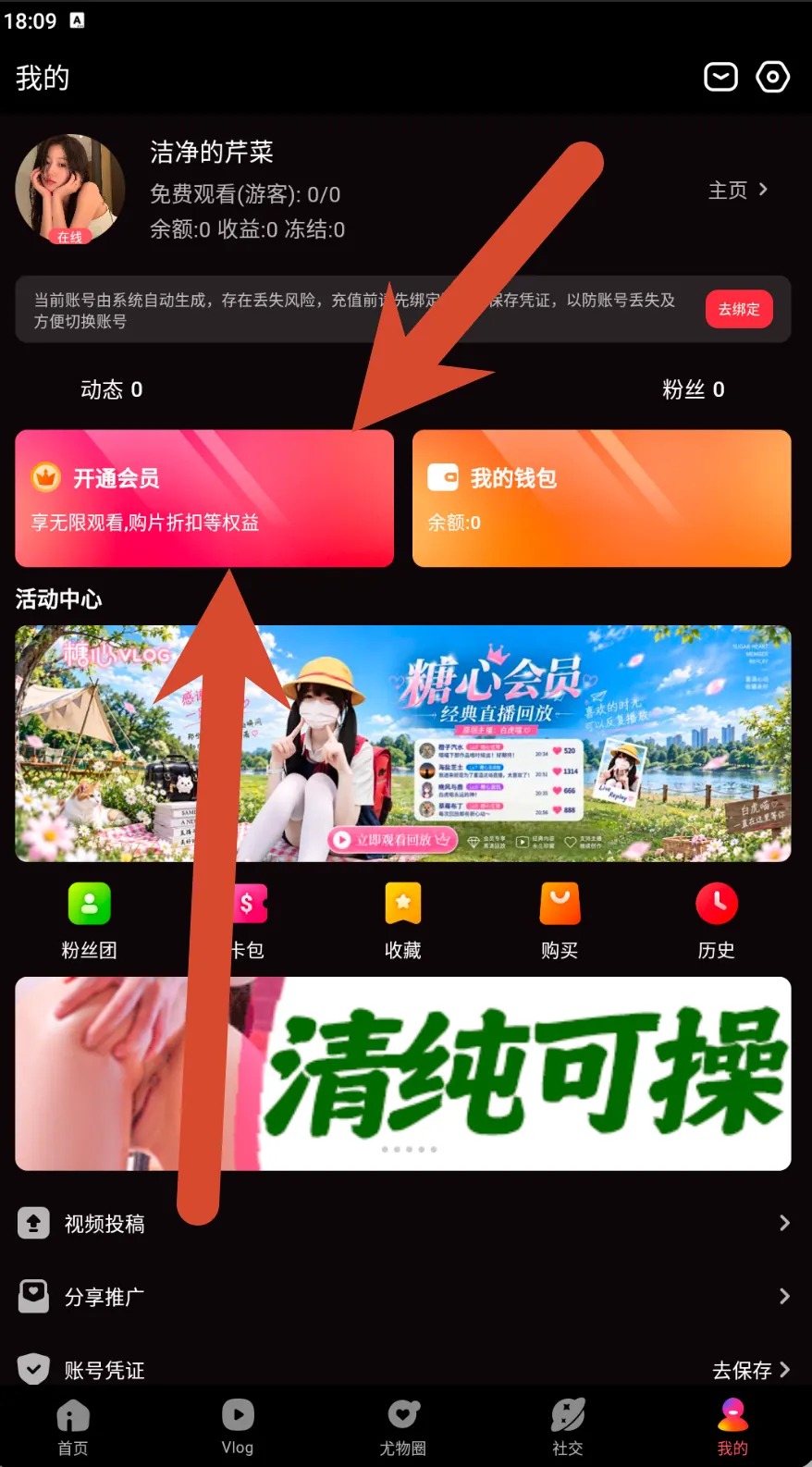 糖心Vlog个人中心会员与钱包界面示例