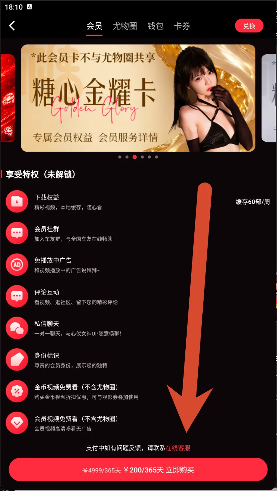 糖心金耀卡会员价格界面示例